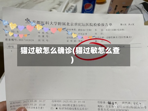 猫过敏怎么确诊(猫过敏怎么查)-第3张图片