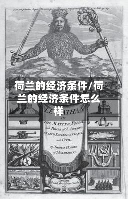 荷兰的经济条件/荷兰的经济条件怎么样