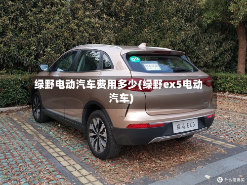 绿野电动汽车费用多少(绿野ex5电动汽车)-第2张图片
