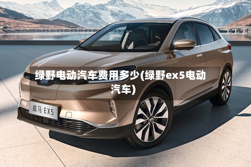 绿野电动汽车费用多少(绿野ex5电动汽车)