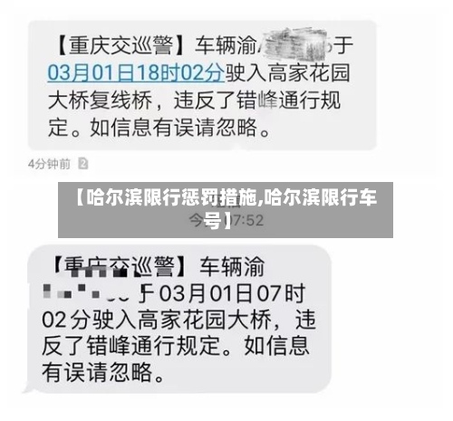 【哈尔滨限行惩罚措施,哈尔滨限行车号】