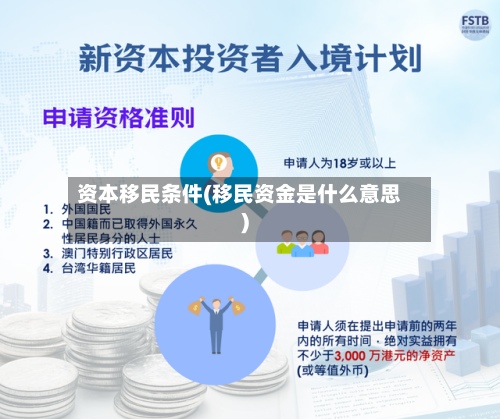 资本移民条件(移民资金是什么意思)-第2张图片