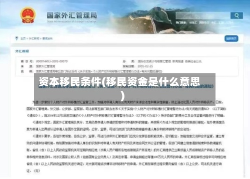 资本移民条件(移民资金是什么意思)-第3张图片