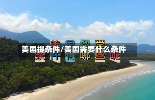 美国提条件/美国需要什么条件