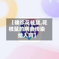 【确诊花枝鼠,花枝鼠的病会传染给人吗】-第2张图片