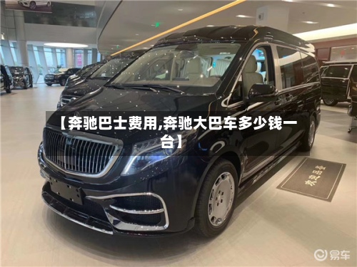 【奔驰巴士费用,奔驰大巴车多少钱一台】-第2张图片