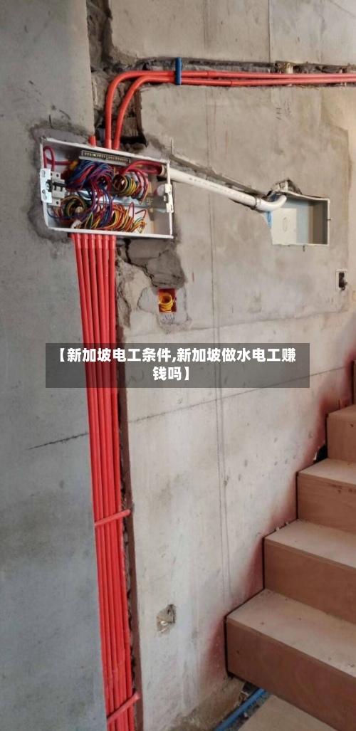 【新加坡电工条件,新加坡做水电工赚钱吗】