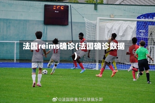 法国reims确诊(法国确诊数据)