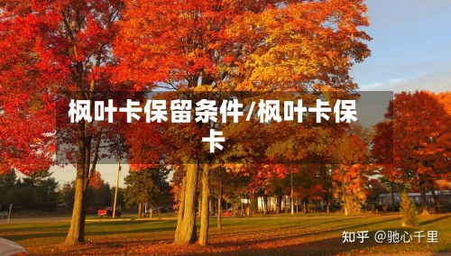 枫叶卡保留条件/枫叶卡保卡-第2张图片