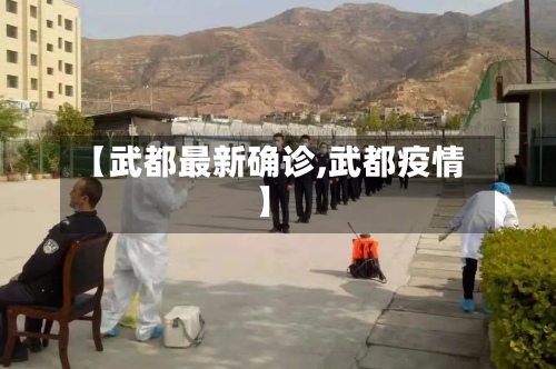 【武都最新确诊,武都疫情】