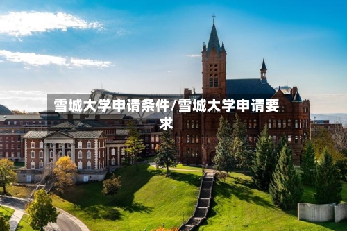 雪城大学申请条件/雪城大学申请要求-第2张图片