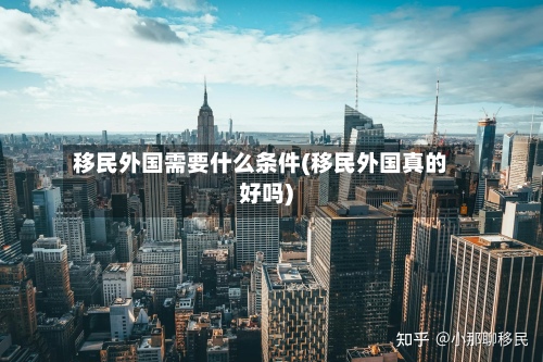 移民外国需要什么条件(移民外国真的好吗)