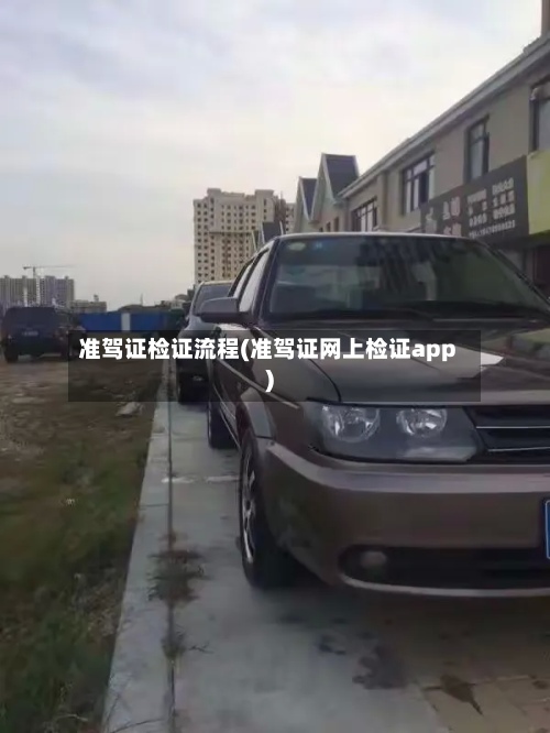 准驾证检证流程(准驾证网上检证app)