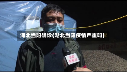 湖北当阳确诊(湖北当阳疫情严重吗)