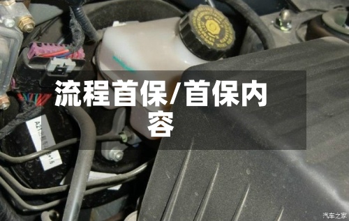 流程首保/首保内容-第3张图片