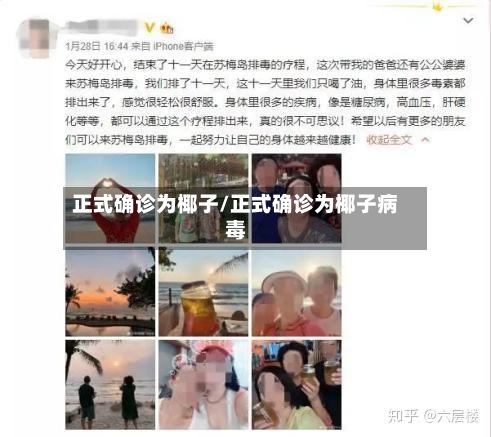 正式确诊为椰子/正式确诊为椰子病毒