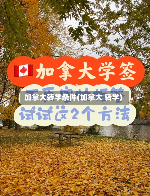 加拿大转学条件(加拿大 转学)-第2张图片