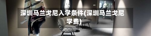 深圳马兰戈尼入学条件(深圳马兰戈尼学费)-第3张图片