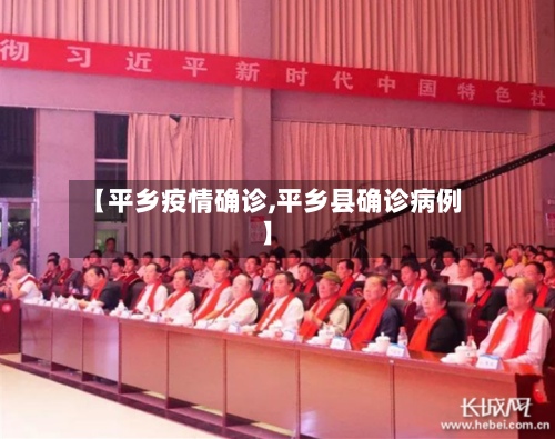 【平乡疫情确诊,平乡县确诊病例】-第3张图片
