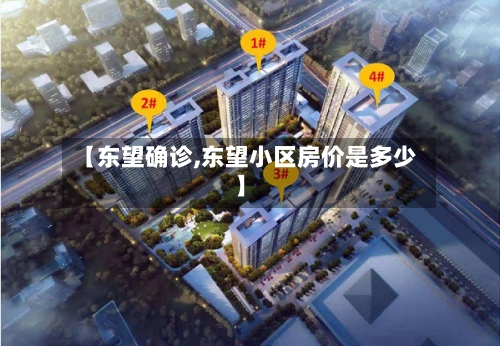 【东望确诊,东望小区房价是多少】