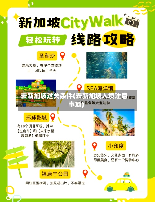 去新加坡过关条件(去新加坡入境注意事项)-第2张图片