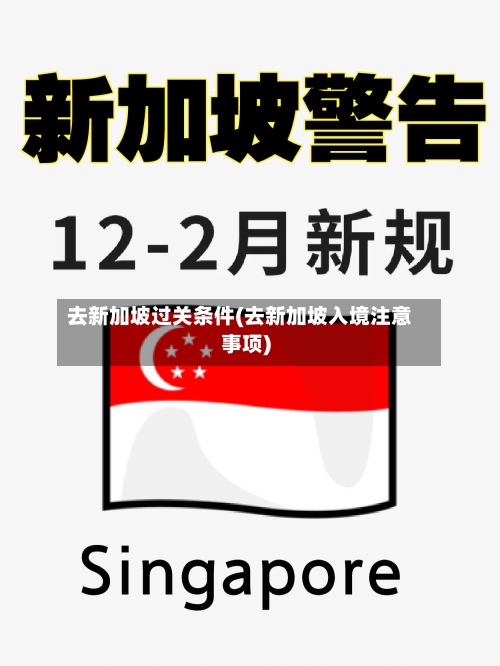 去新加坡过关条件(去新加坡入境注意事项)-第3张图片
