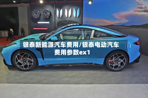 银泰新能源汽车费用/银泰电动汽车费用参数ex1-第2张图片
