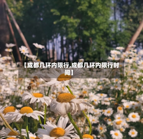 【成都几环内限行,成都几环内限行时间】-第3张图片