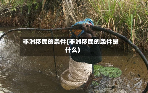 非洲移民的条件(非洲移民的条件是什么)