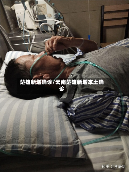 楚雄新增确诊/云南楚雄新增本土确诊