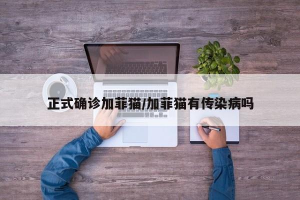 正式确诊加菲猫/加菲猫有传染病吗