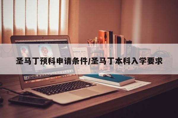 圣马丁预科申请条件/圣马丁本科入学要求