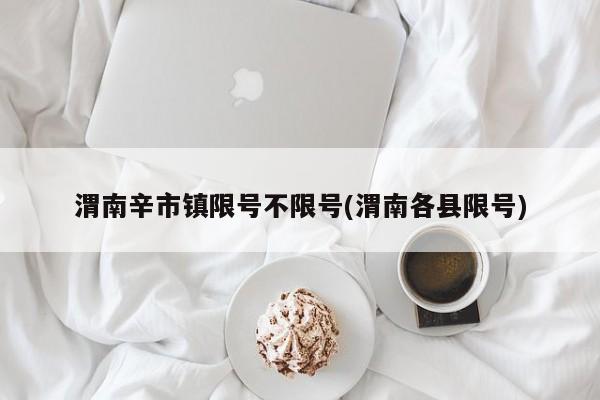 渭南辛市镇限号不限号(渭南各县限号)