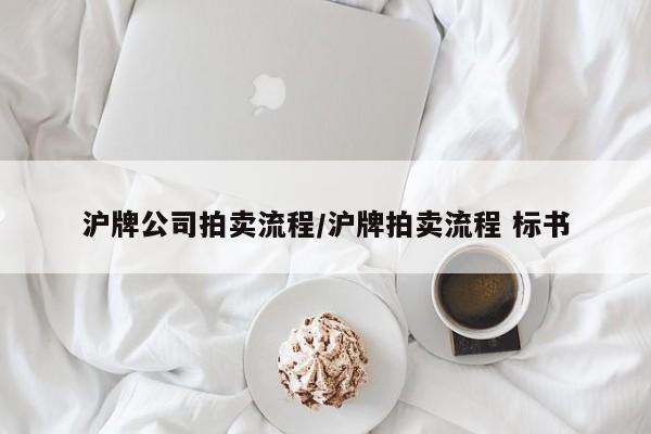 沪牌公司拍卖流程/沪牌拍卖流程 标书