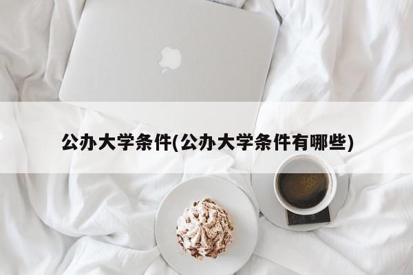公办大学条件(公办大学条件有哪些)