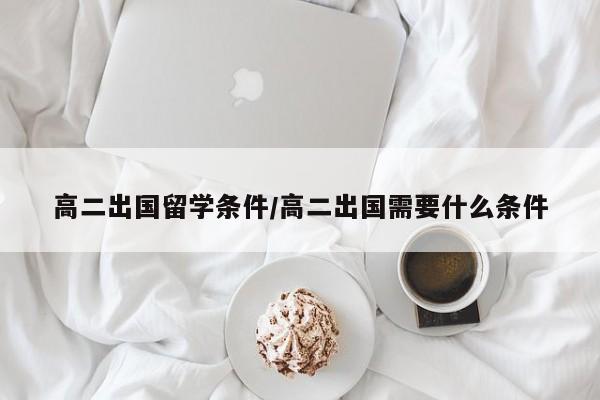 高二出国留学条件/高二出国需要什么条件