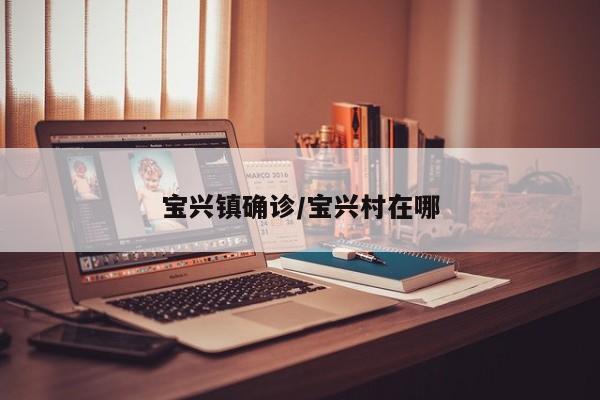 宝兴镇确诊/宝兴村在哪