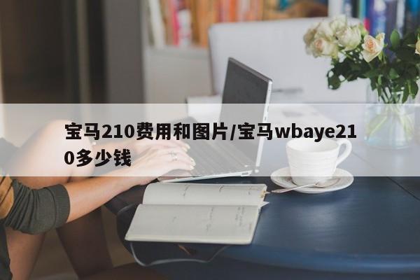 宝马210费用和图片/宝马wbaye210多少钱