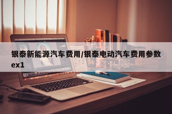 银泰新能源汽车费用/银泰电动汽车费用参数ex1